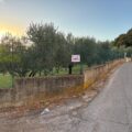 Speciale Residenziale